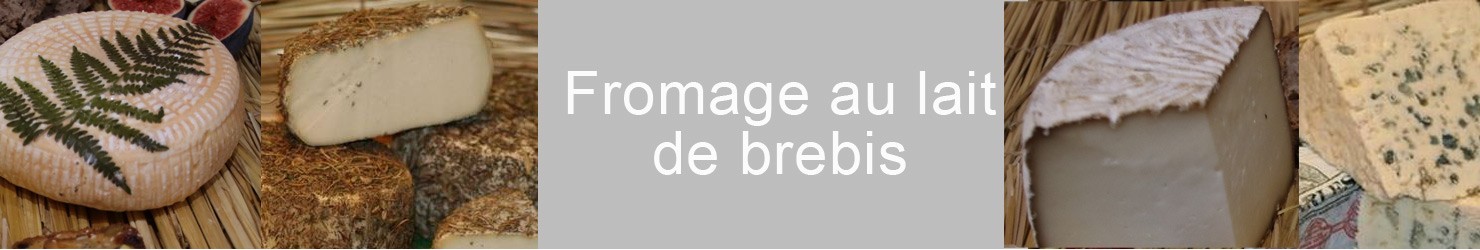 fromage au lait de brebis en ligne vente en ligne Fromagerie Martin